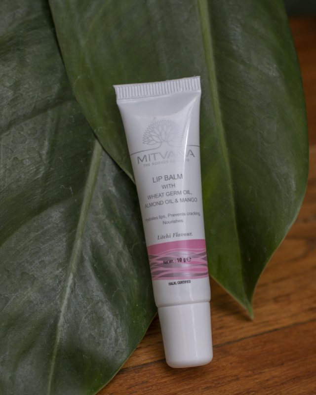 Lip Balm